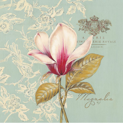 Toile Magnolia by Stefania Ferri Pricing Limited Edition Print image