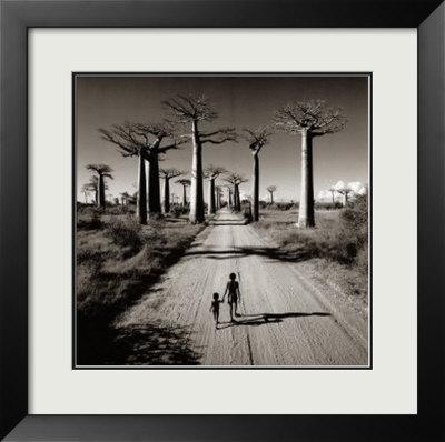 Allee Des Baobabs by Chris Simpson Pricing Limited Edition Print image