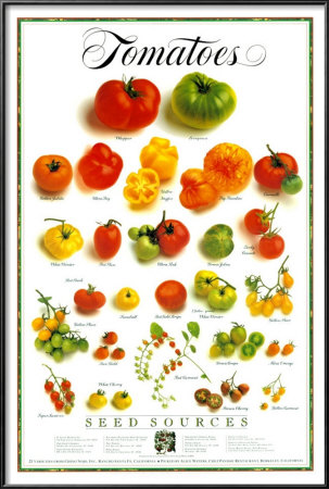 A Pile Of Fresh Tomatoes by Alice Waters Pricing Limited Edition Print image