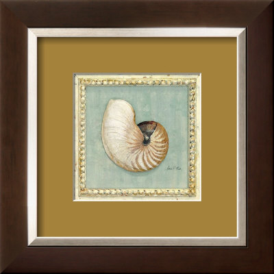 Classic Seashell Detail by Arnie Fisk Pricing Limited Edition Print image