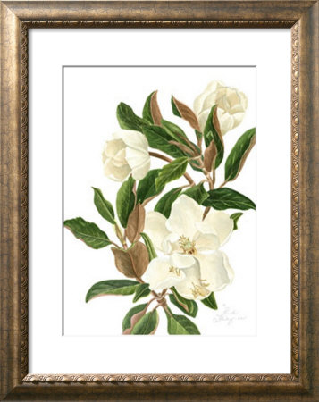 Magnolia Ii by Pamela Shirley Pricing Limited Edition Print image