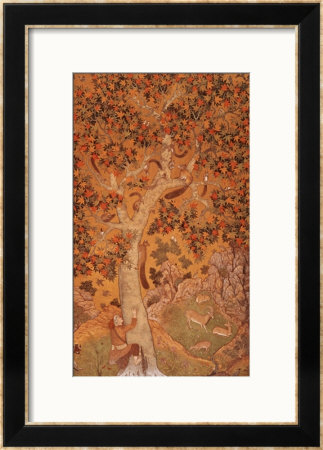 Johnson Album I, No.30 Squirrels On A Plane Tree, Mughal, Circa 1610 by Abu'l Hasan Pricing Limited Edition Print image