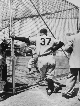 Manager Casey Stengel Watching Batting Practice by Mark Kauffman Pricing Limited Edition Print image