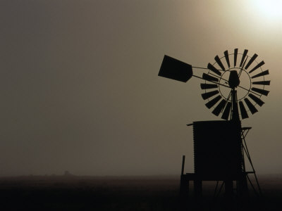 Windmill And Water Tank On Misty Morning At Sunrise, Victoria, Australia by Bernard Napthine Pricing Limited Edition Print image