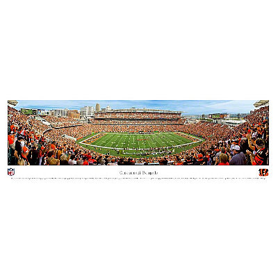 Cincinnati Bengals by James Blakeway Pricing Limited Edition Print image