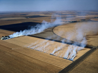 Overhead Of Fields Burning Near Kansas City, Kansas City, Usa by Jim Wark Pricing Limited Edition Print image