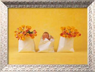Paper Bags by Anne Geddes Pricing Limited Edition Print image