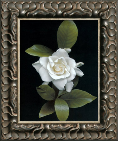 Gardenia Glory by Rosemarie Stanford Pricing Limited Edition Print image