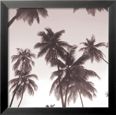 Palm Silhouette by Michael Kahn Pricing Limited Edition Print image