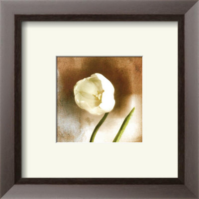 White Tulip I by Judy Mandolf Pricing Limited Edition Print image