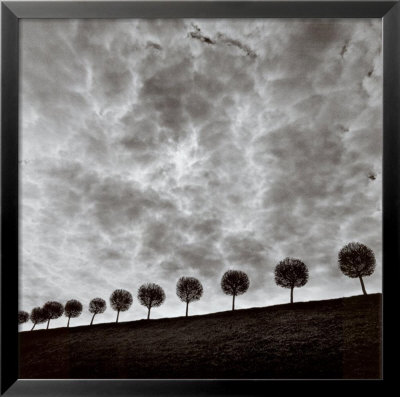 Ten And A Half Trees, Peterhof, Russia, 2000 by Michael Kenna Pricing Limited Edition Print image