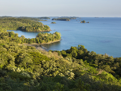 Thick Vegetation On Boca Chica Island In The Chiriqui Marine National Park, Panama, Central America by Lizzie Shepherd Pricing Limited Edition Print image