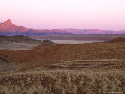 Namib Desert, Namibia, Africa by Patricio Robles Gil Pricing Limited Edition Print image