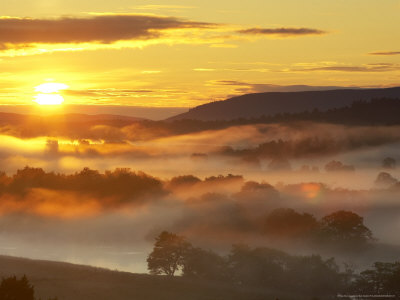 Low Lying Mist Over River Spey And Scattered Woodland At Sunrise, Scotland Uk by Mark Hamblin Pricing Limited Edition Print image
