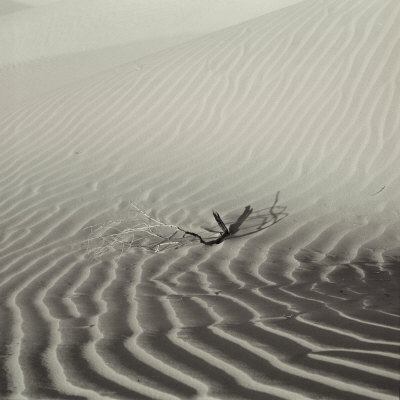 Rippling Sand Dunes Of Death Valley California by Keith Levit Pricing Limited Edition Print image