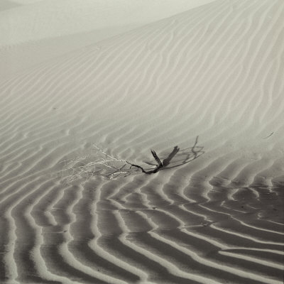 Rippling Sand Dunes Of Death Valley California by Keith Levit Pricing Limited Edition Print image