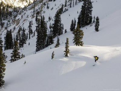 Man Telemark Skiing, Wasatch Mountains, Usa by Mike Tittel Pricing Limited Edition Print image