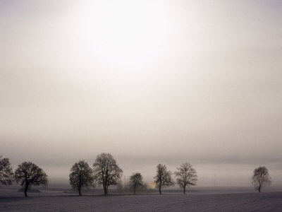Winter Landscape by Jan Halaska Pricing Limited Edition Print image