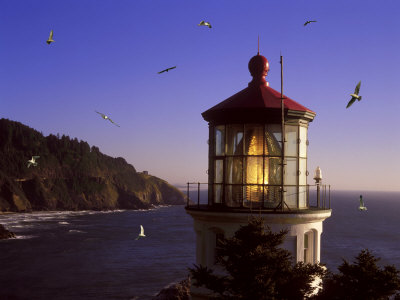 Seagulls Flying Around A Lighthouse by Fogstock Llc Pricing Limited Edition Print image