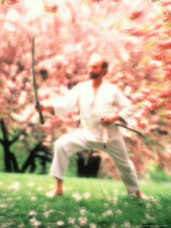Man Practicing Tai Chi Outdoors by Henryk T. Kaiser Pricing Limited Edition Print image