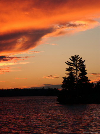 Lake And Trees During Sunset by Keith Levit Pricing Limited Edition Print image