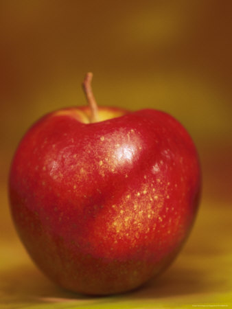 Red Apple by Fogstock Llc Pricing Limited Edition Print image