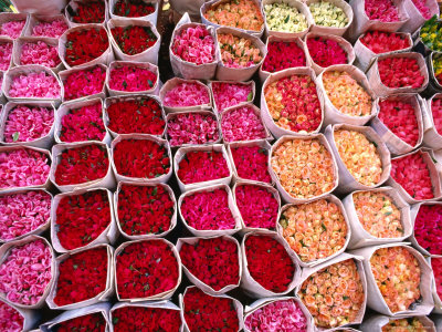 Bunches Of Roses On Display At Flower Stall, Bangkok, Thailand by Chris Mellor Pricing Limited Edition Print image