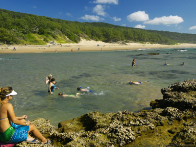 Tourists Swimming, Greater St. Lucia Wetland Park, South Africa by Roger De La Harpe Pricing Limited Edition Print image