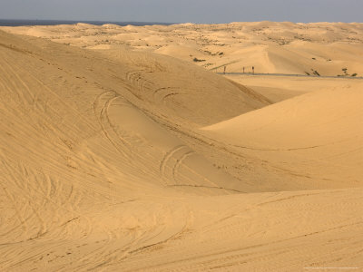 Algodones Dunes, Now Devoid Of Vegetation, Near Mexican Border, Usa by Bob Gibbons Pricing Limited Edition Print image