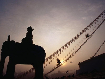 Elephant And Rider Silhouette At Bodhnath In Kathmandu by Jeff Cantarutti Pricing Limited Edition Print image