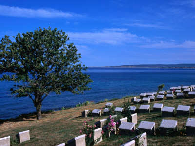 Beach Cemetery by Susan Storm Pricing Limited Edition Print image