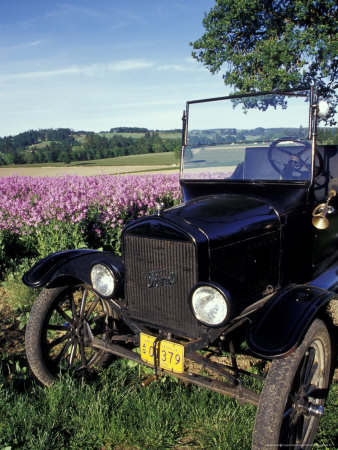 Model-T Ford In Field With Dames Rocket, Near Silverton, Oregon, Usa by Darrell Gulin Pricing Limited Edition Print image