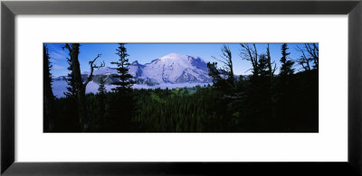 Trees Infront Of Snow Covered Mountain, Mt Rainer, Washington, Usa by Panoramic Images Pricing Limited Edition Print image