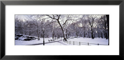 Bare Trees During Winter In Central Park, Manhattan, New York City, New York, Usa by Panoramic Images Pricing Limited Edition Print image