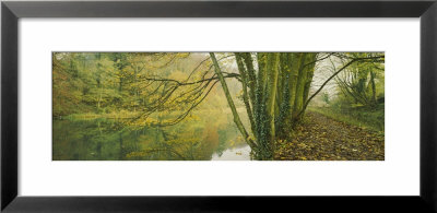 Reflection Of Trees In Water, Stroud, Gloucestershire, England by Panoramic Images Pricing Limited Edition Print image