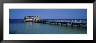 Rod And Reel Fishing Pier, Anna Maria Island, Gulf Coast, Florida, Usa by Panoramic Images Pricing Limited Edition Print image