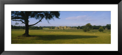 Flock Of Sheep Grazing In A Field, Holkham Hall, Norfolk, England by Panoramic Images Pricing Limited Edition Print image