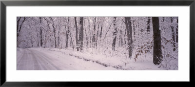 Snow Covered Road, Holland, Michigan, Usa by Panoramic Images Pricing Limited Edition Print image