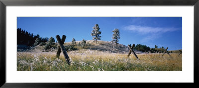 Fence In A Field, Lewis And Clark County, Montana, Usa by Panoramic Images Pricing Limited Edition Print image