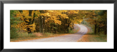 Country Road Passes Through A Forest, Empire, Michigan, Usa by Panoramic Images Pricing Limited Edition Print image