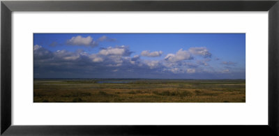 Clouds Over A Landscape, Paynes Prairie Preserve State Park, Gainesville, Florida, Usa by Panoramic Images Pricing Limited Edition Print image