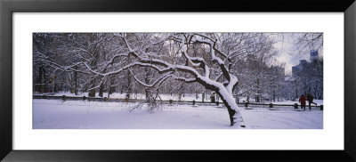 Trees Covered With Snow In A Park, Central Park, New York, Usa by Panoramic Images Pricing Limited Edition Print image