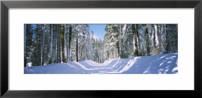 Snow Covered Road, Crane Flat, Yosemite National Park, California, Usa by Panoramic Images Pricing Limited Edition Print image
