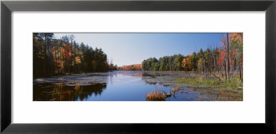 Autumn Trees Along A Lake, Catskill Mountains, Wetland, New York, Usa by Panoramic Images Pricing Limited Edition Print image