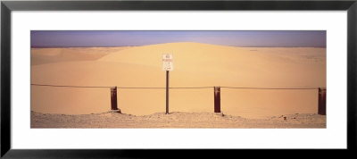 Imperial Sand Dunes, California, Usa by Panoramic Images Pricing Limited Edition Print image