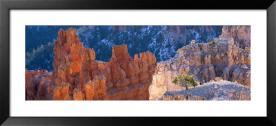 Rock Formations In The Grand Canyon, Bryce Canyon National Park, Utah, Usa by Panoramic Images Pricing Limited Edition Print image