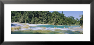 Water Flowing In The Forest, Agua Azul, Chiapas, Mexico by Panoramic Images Pricing Limited Edition Print image