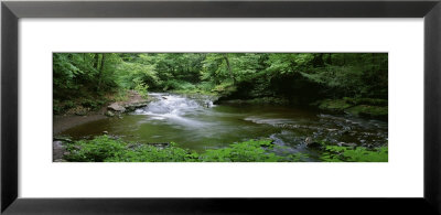 River Flowing Through A Forest, Ricketts Glen State Park, Pennsylvania, Usa by Panoramic Images Pricing Limited Edition Print image