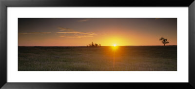 Sunrise Over A Grassland, North Dakota, Usa by Panoramic Images Pricing Limited Edition Print image