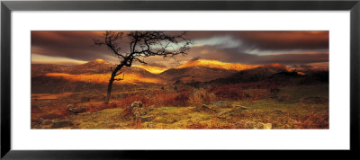 Snowdonia National Park, Wales, United Kingdom by Panoramic Images Pricing Limited Edition Print image